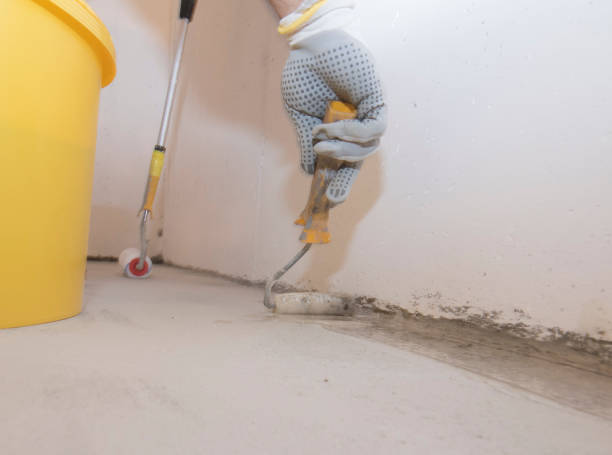 Best Fumigation Services  in Orange, VA